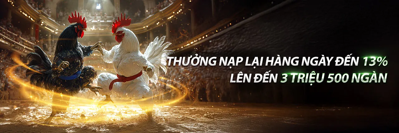 Đá gà trực tiếp 888 với các chiến kê dũng mãnh